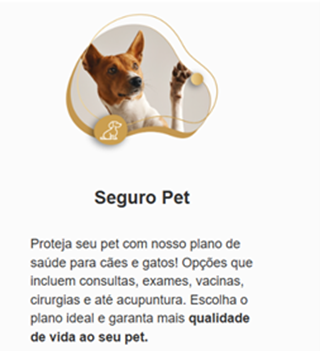 home materia vila velha seguros imagem interna 2.png
